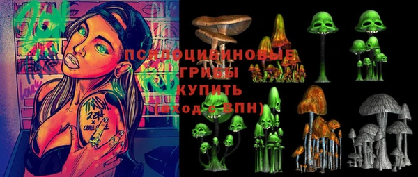 индика Алзамай