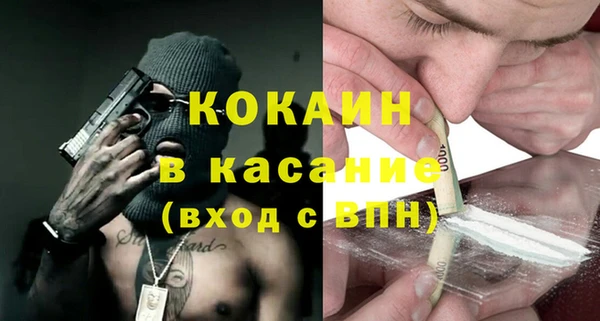 индика Алзамай
