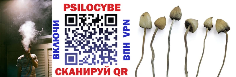 сколько стоит  Новоузенск  Псилоцибиновые грибы мухоморы 